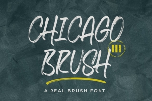 Chicago Brush Font Download