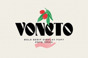 Modern Font - Voneto Font Download