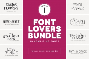 Font Lovers Bundle Font Download