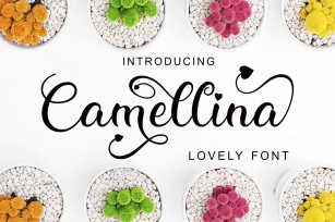Camellina Script Font Download
