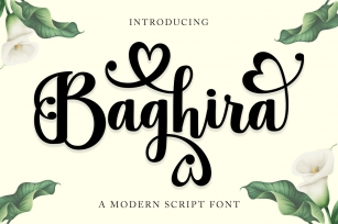 Baghira Font Download