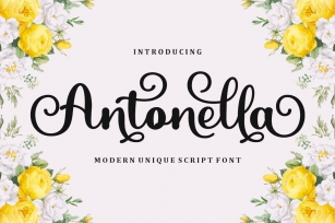 Antonella Script Font Download