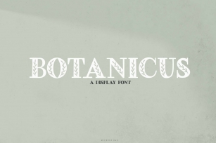 Botanicus Font Download