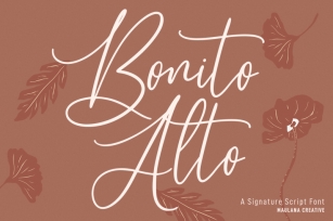 Alto Bonito Script Font Font Download