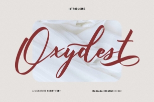 Oxydest Script Font Font Download