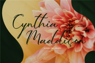 Cynthia Maddison Font Download