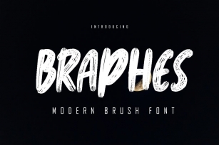 Braphes Modern Brush Font Font Download
