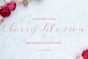 Cherry Blossom Script Font Download