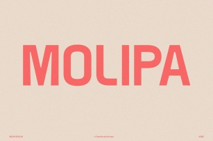 MOLIPA Sans Font Download