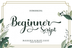 Beginner Script Font Download