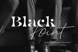 Black Point - Modern Font Duo Font Download