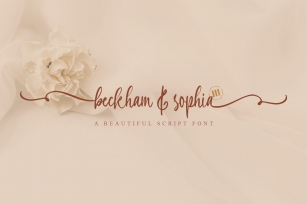 Beckham  Sophia Font Download