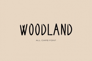 Woodland Handlettered Font Font Download