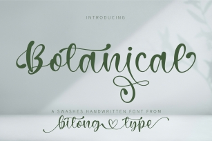 Botanical Font Download