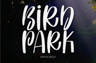 Bird Park Font Download