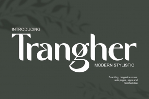 Modern Stylistic Font Download