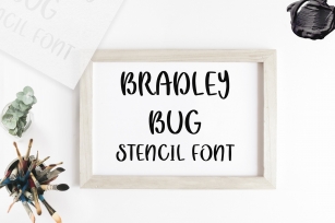 Bradley Bug Stencil Font Download