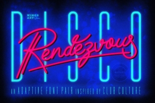 Disco Rendezvous: A Night Club Inspired Script Font Download