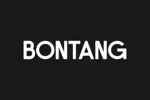 Bontang Font Download