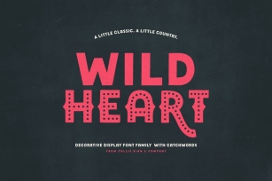 Wild Heart Decorative Display Family Font Download