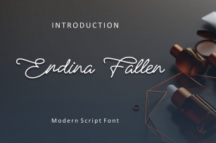 Erdina Fallen Font Font Download