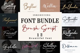 Bundle Font Download