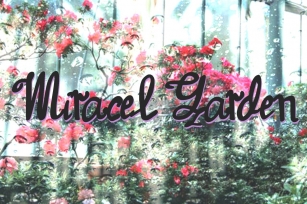 Miracel Garden Font Download