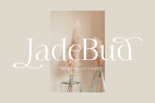 JadeBud Modern Elegant Serif Font Download