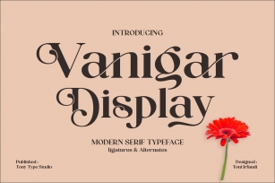 Vanigar Display Font Download