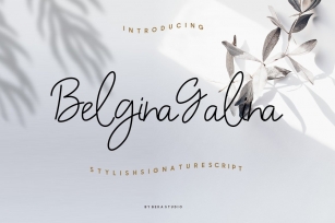 Belgina Galina Stylish Signature Font Download