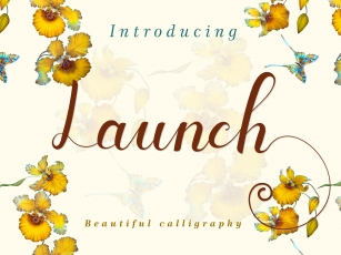 Launch Font Download