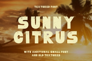 Sunny Citrus Font Download