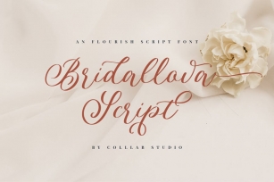 Bridallova - A Flourish Script Font Font Download