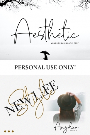 Aesthetic Font Download