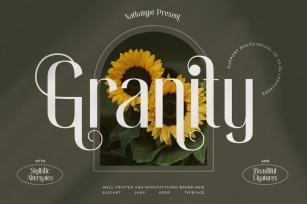 Granity Font Download
