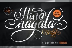 Hino Nagata Modern Calligraphy Font Font Download