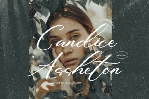 Candice Assheton Font Download