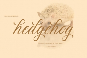 hedgehog Font Download