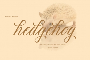Hedgehog Font Download