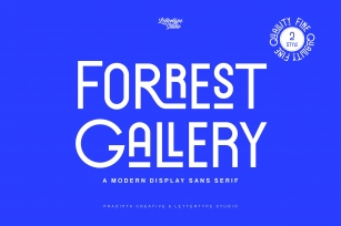 Forrest Gallery Modern Display Font Download