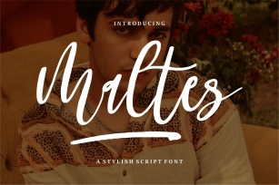 Maltes Font Download