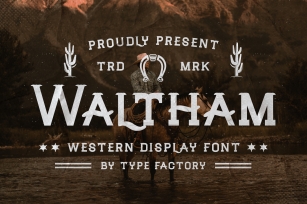 Waltham Font Download