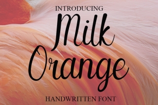 Milk Orange Font Download