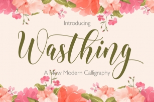 Wasthing Font Download