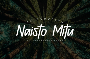 Naisto Mitu Font Font Download