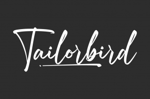 Tailorbird Font Download