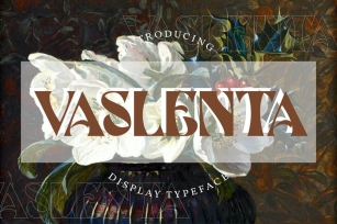 Vaslenta | Display Typeface Font Font Download