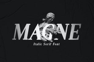 Magne Italic - Bold Serif Font Font Download