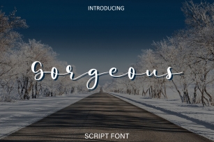Gorgeous Font Download