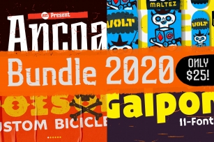 RT 2020/ Bundle $25 / Fast Sale Font Download